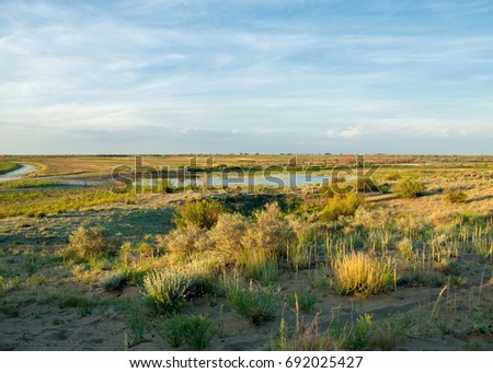 Small lake under nice sky. evening scene on lake in steppe, Landscape with bog in steppe in nice summer day.  summer scene on lake