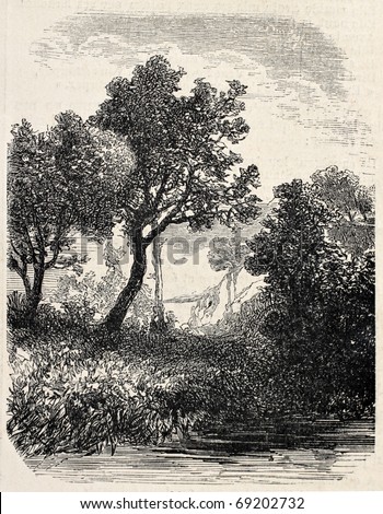 Antique illustration of natural landscape. Original, from a tablet of Gresy, was published on L'Illustration, Journal Universel, Paris, 1860