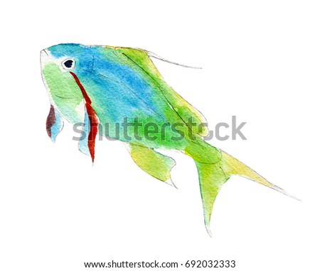 The green anthias fish, watercolor illustration isolated on white background.