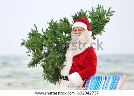 Authentic Santa Claus with Christmas tree on beach