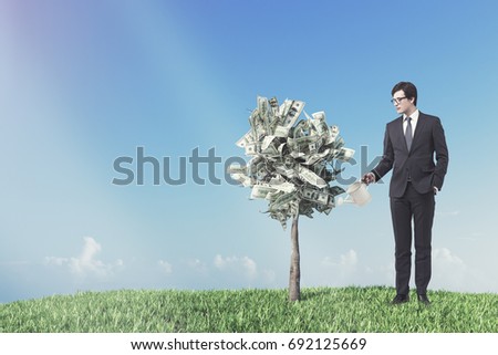 Businessman in a suit with a blue tie watering a small dollar tree. Meadow background. Concept of investment. Mock up toned image