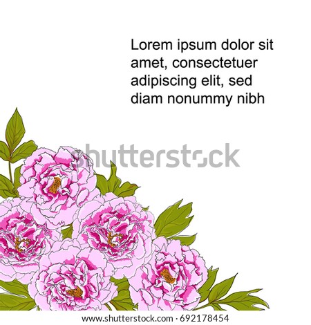 Vector illustration of peony flowers on a white background with clipping mask. Greeting card with place for text.