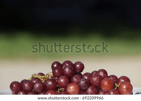 a closeup picture of sweet seedless grape fruit good for your health wallpaper