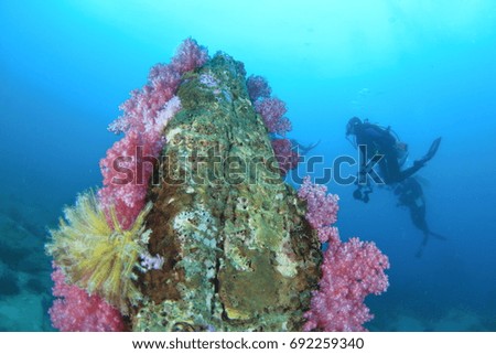  Divers with soft corals Divers and coral reefs