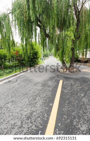 A tree in the middle of a cycling track in China