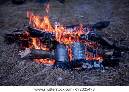 Bonfire Burns