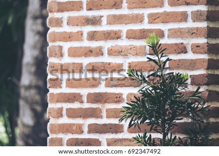 A brick wall with tree and green nature background