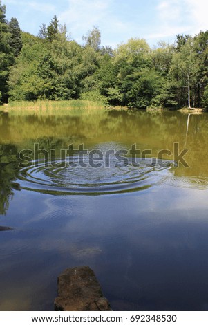 Summer landscape with a lake, trees and reflections in the water