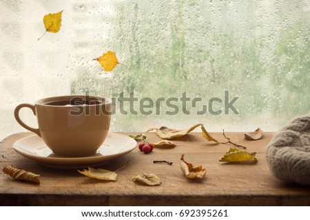 Cup of autumn tea (coffee, chocolate) and yellow dry leaves near a window, copy space. Hot drink for autumn cold rainy days. Hygge concept, autumn mood. Royalty-Free Stock Photo #692395261