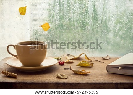 Coffee Cup On A Rainy Day Window Background Stock Photos And Images Avopix Com