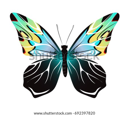 Isolated beautiful butterfly on white background. Blue and black colors.