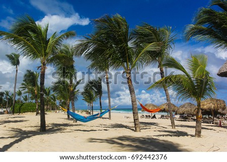 Girl lies in a hammock on a beach among palm trees