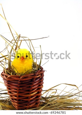 A small easter decorative chick in a basket with copy space