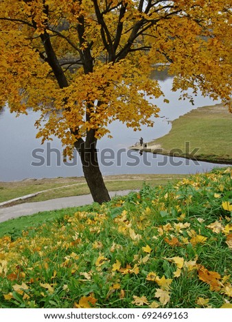 Autumn landscape with water                                 