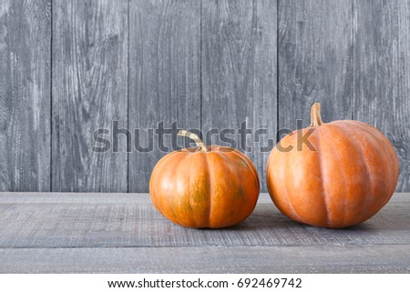 Autumn harvest background. Side view, pumpkins on weathered rustic blue wood with copy space.