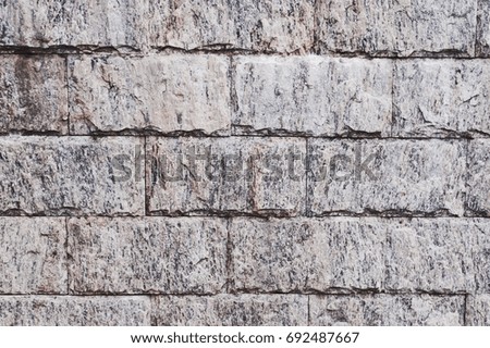 Gray texture of Brazilian natural granite