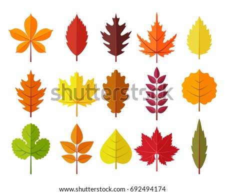 Colorful autumn leaves set, isolated on white background. Simple cartoon flat style, vector illustration.
