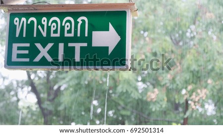 Green Exit Sign With White Arrow On The Square Board Hanging On The Ceiling With Rainy Day At The Park And Green Nature Background 
