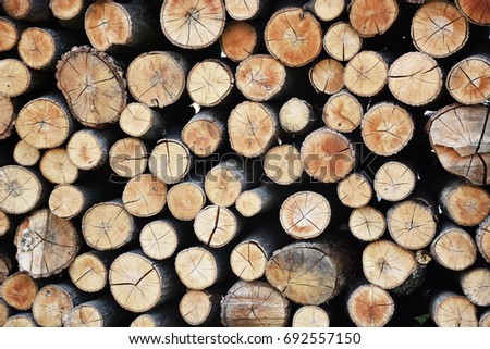 Stack of wood logs, wooden abstract background
