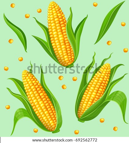 Seamless pattern with yellow corncobs and green leaves. Ripe corn vegetables. Vector illustration. Royalty-Free Stock Photo #692562772