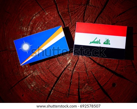 Marshall Islands flag with Iraqi flag on a tree stump isolated