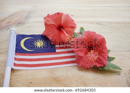 A Malaysian flag and hibiscus, a national flowers on a wooden background.Concept for 60th year of Malaysian Independence Day.