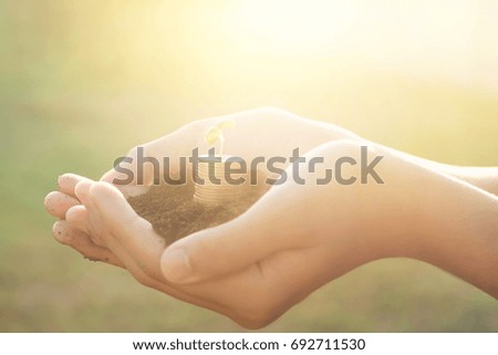 Hand cover growing plant with coin money , Plant Growing Savings Coins. Investment or education Concept. Selective focus on coins