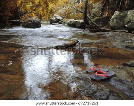 sandals on the rocks of the waterfall with trees and rocks in mountain in autumn, holiday and vacation concept.
