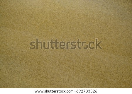 Fine sand texture and background, close up seamless sand