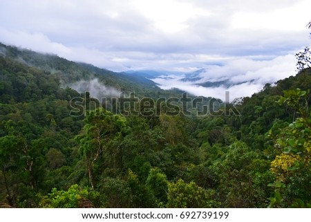 Landscape of mountain view, evergreen forest, white clouds, blue sky in Asian tropical country on sunny day in rainy season, Thailand. Misty over green valley, fresh environment for relaxing.