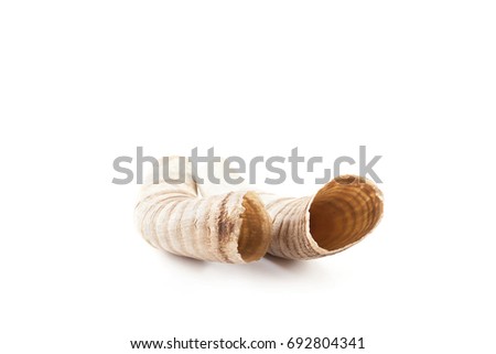  Side view of textured ram's horn isolated on white background. Jewish New Year religious object. 