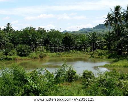 Beautiful tropical landscape of a pond  with mountain background, Southern Thailand.