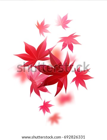 Realistic autumn maple leaves on white. Vector illustration background.