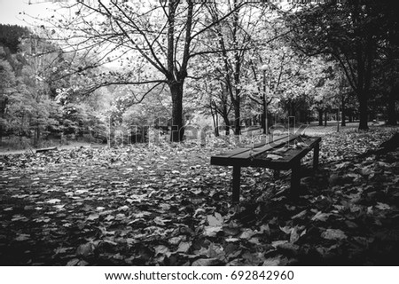 A black and white photograph of an autumn park with a bench where the leaves fall and are on the ground in close proximity to a lake and a dramatic fairy tale