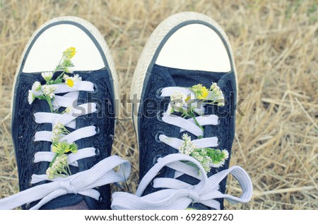 Closeup of a pair of black and white sneakers with wild chamomile flowers in the shoelaces (selective focus on the flowers), retro style