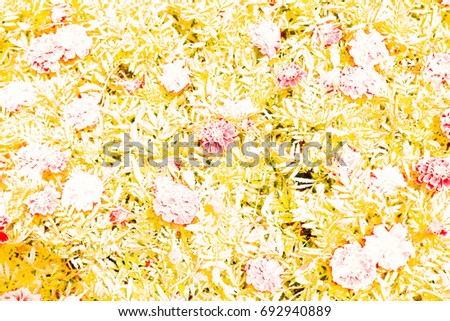 Abstract background light and color adjustment without drawing program , Flower and leaf background patterns.