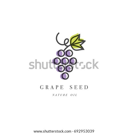 Vector set of packaging design element and icon in linear style - grape seed oil - healthy vegan food. Logo sign Royalty-Free Stock Photo #692953039