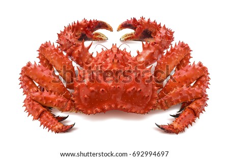Red brown king crab 2 isolated on white background as package design element Royalty-Free Stock Photo #692994697