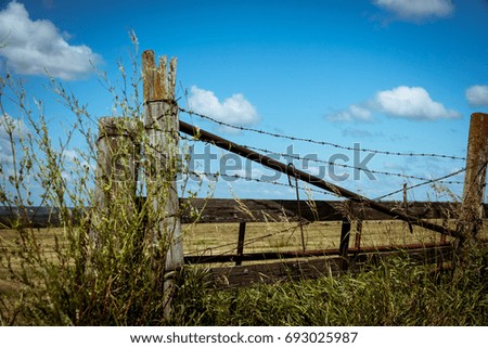 Barbed wire on a wooden fence in the field
