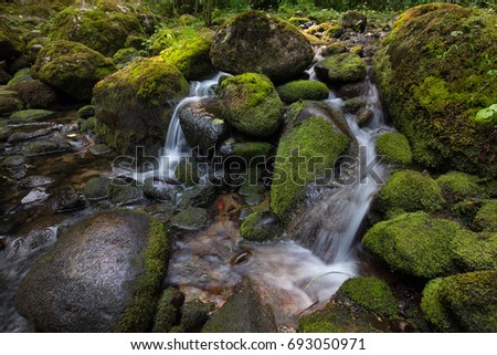 Beautiful river stream in the natural canyon during the summer time. Picture taken in Lynn Valley, North Vancouver, British Columbia, Canada.
