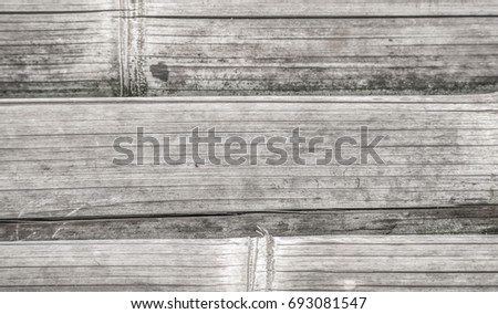 wood background from bamboo