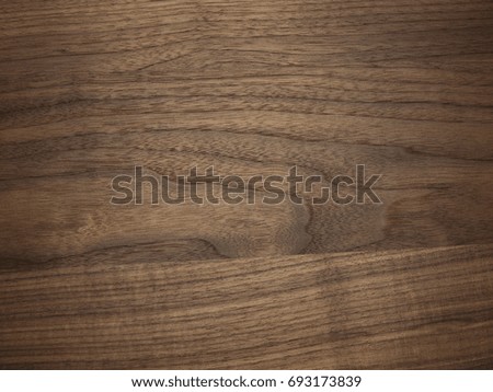 Background from a natural tree texture