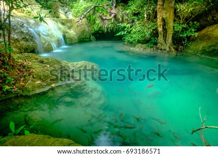 Beautiful deep forest pond in Erawan National Park, Kanchanaburi, Thailand.