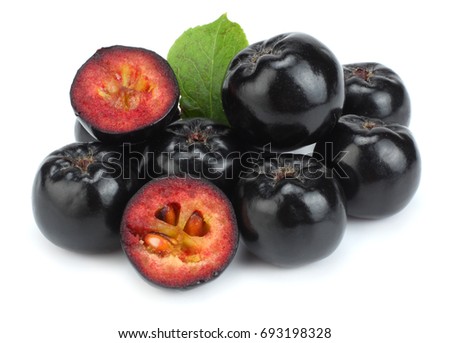 Chokeberry with leaf isolated on white background. Black aronia. Royalty-Free Stock Photo #693198328