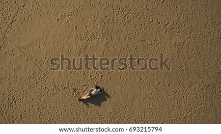 People are resting in the summer in the desert at sunset