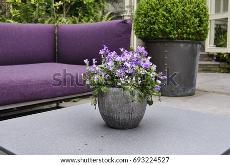 Purple street sofa. Pot of flowers in the background a purple street sofa. Cozy garden design.