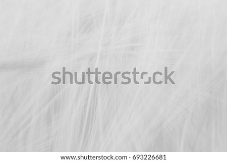 Blurred gray abstract background with a predominance of lines based on a plant