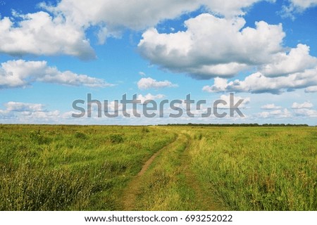Beautiful rural landscape. Blue sky, white clouds, green field. Stock nature photography. Horizon line, road stretches into the distance