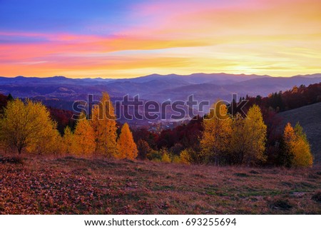 Young birch trees with yellow leaves surrounded by the mountains, where autumn woods covered with fog stretched, which seem to protect houses scattered on the hills.