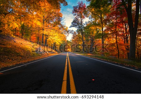 Empty road leading through fall foliage at Bear Mountain New York. During Peak Foliage season.